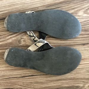 Tory Burch Shoes - Tory Burch thong flip flops! Tory Burch Shoes - Tory Burch thong flip flops!